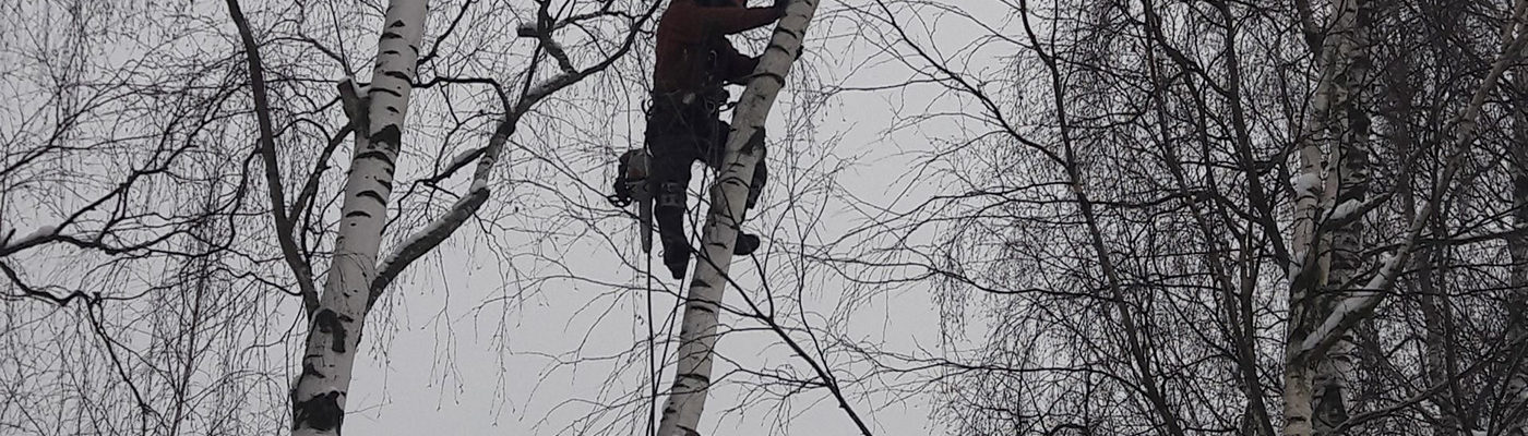 УДАЛЕНИЕ ДЕРЕВЬЕВ